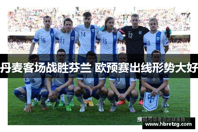 丹麦客场战胜芬兰 欧预赛出线形势大好