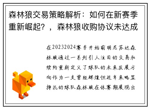 森林狼交易策略解析：如何在新赛季重新崛起？，森林狼收购协议未达成 或将延长独家谈判窗