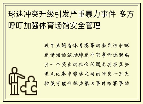 球迷冲突升级引发严重暴力事件 多方呼吁加强体育场馆安全管理