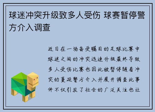 球迷冲突升级致多人受伤 球赛暂停警方介入调查